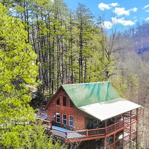 Wilderness Lodge, Hot Tub, Game Room, Pool Access, 1089 Free Tickets Each Paid Day, Dollywood And M